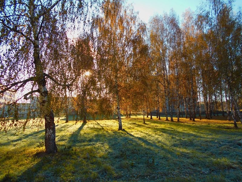 Екатерина, Russia