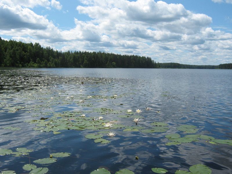 Галина, Russia