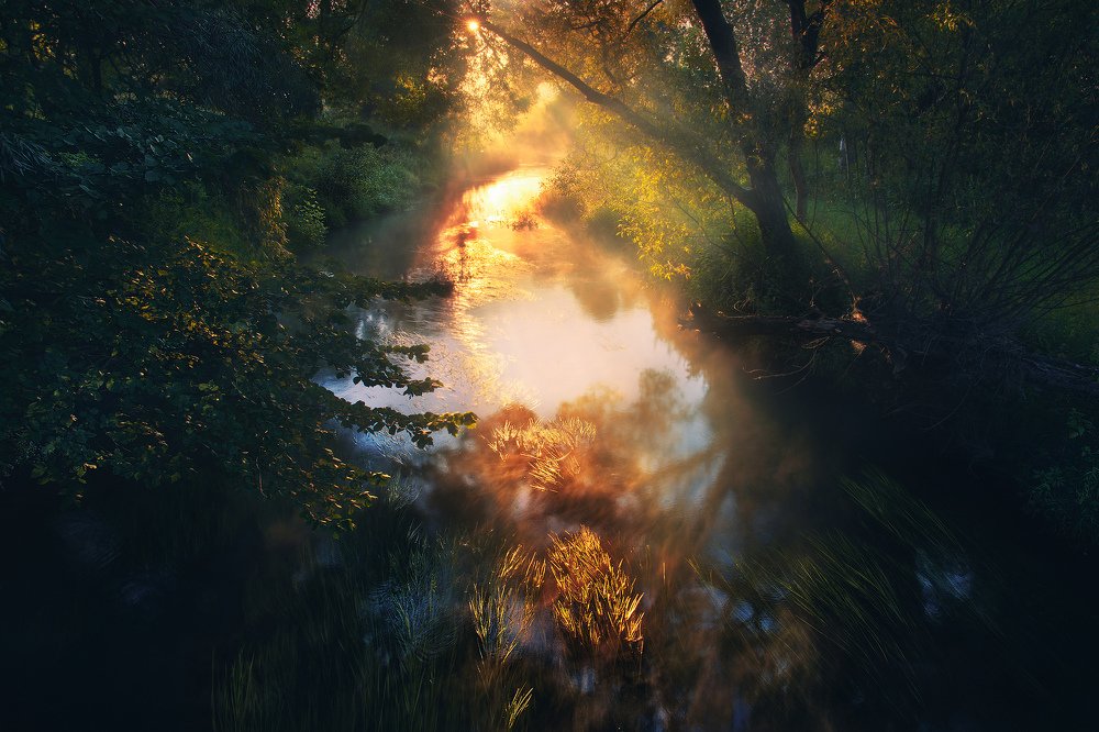 Приближающийся рассвет