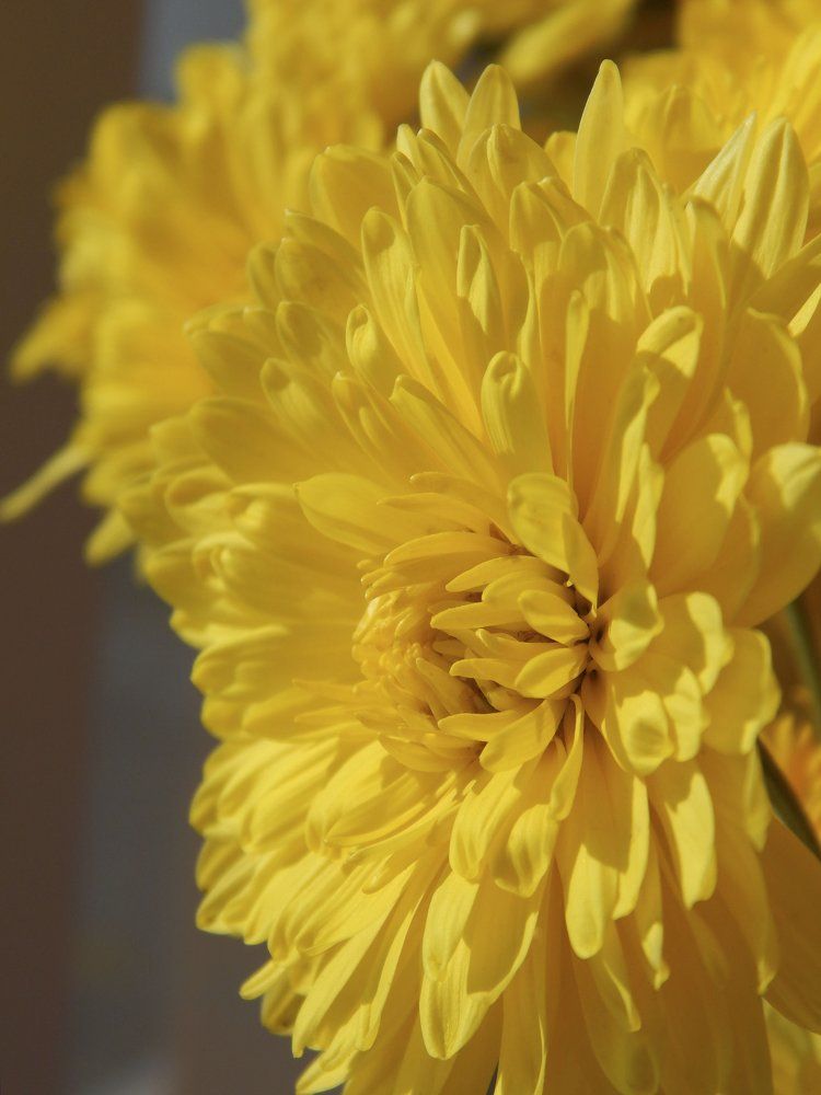 Photograph by Алина Уразаева