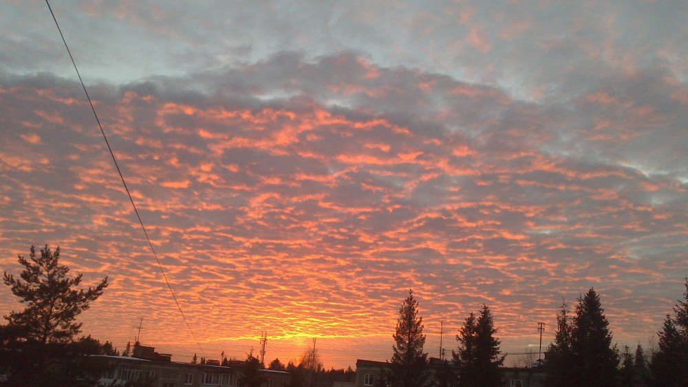 Фотография автора Диана