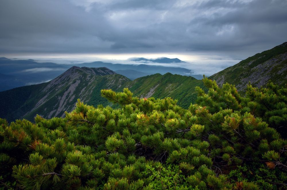 Хмурые дали