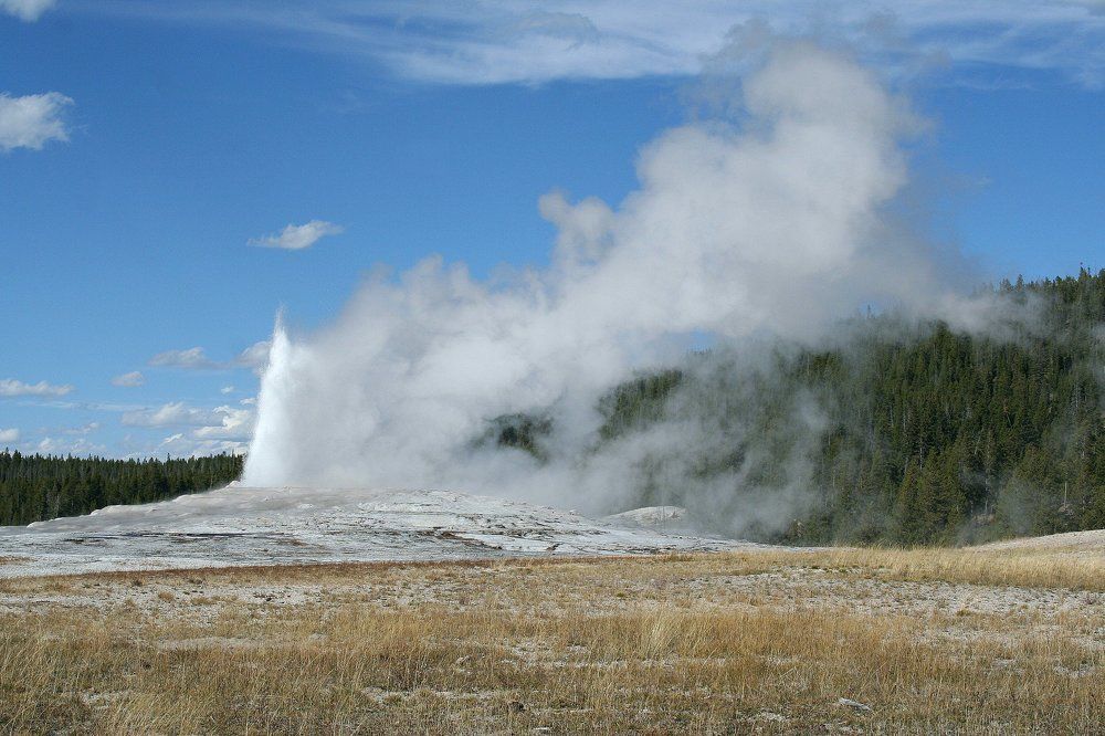 Старый служака. Из серии гейзеры.
