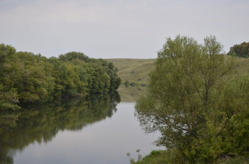 Dmitrii Grazhdan, Russia