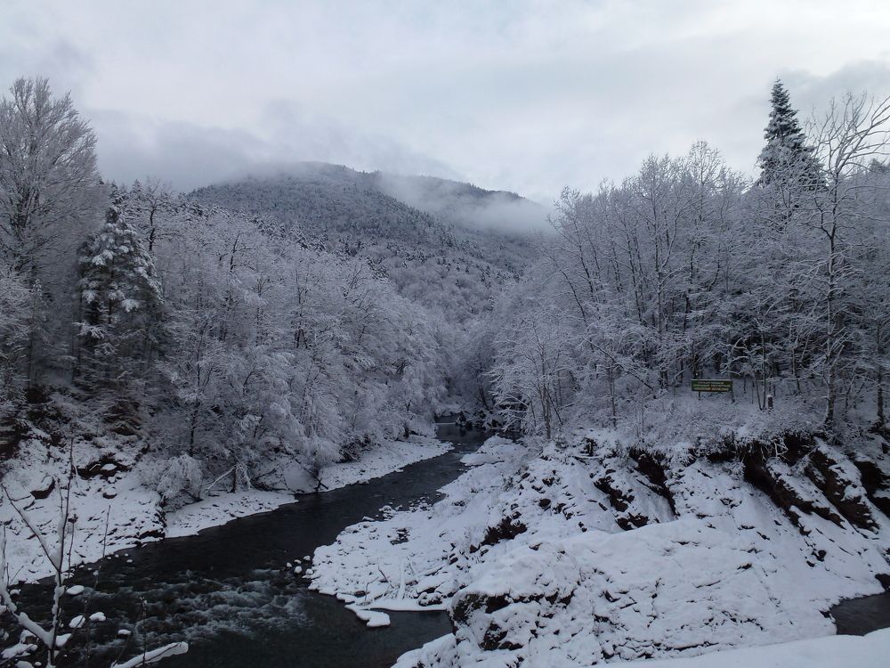 река Белая.