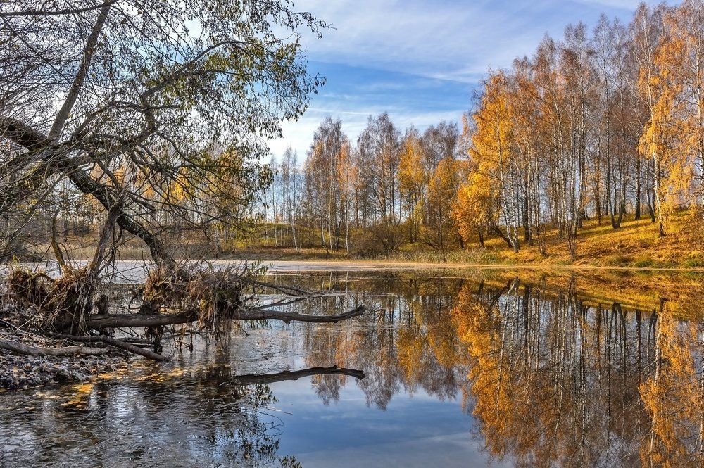 Нежность осеннего утра