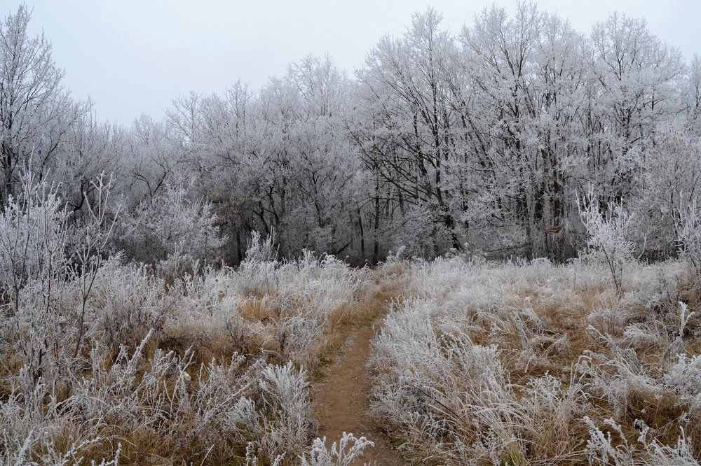 Зима пришла