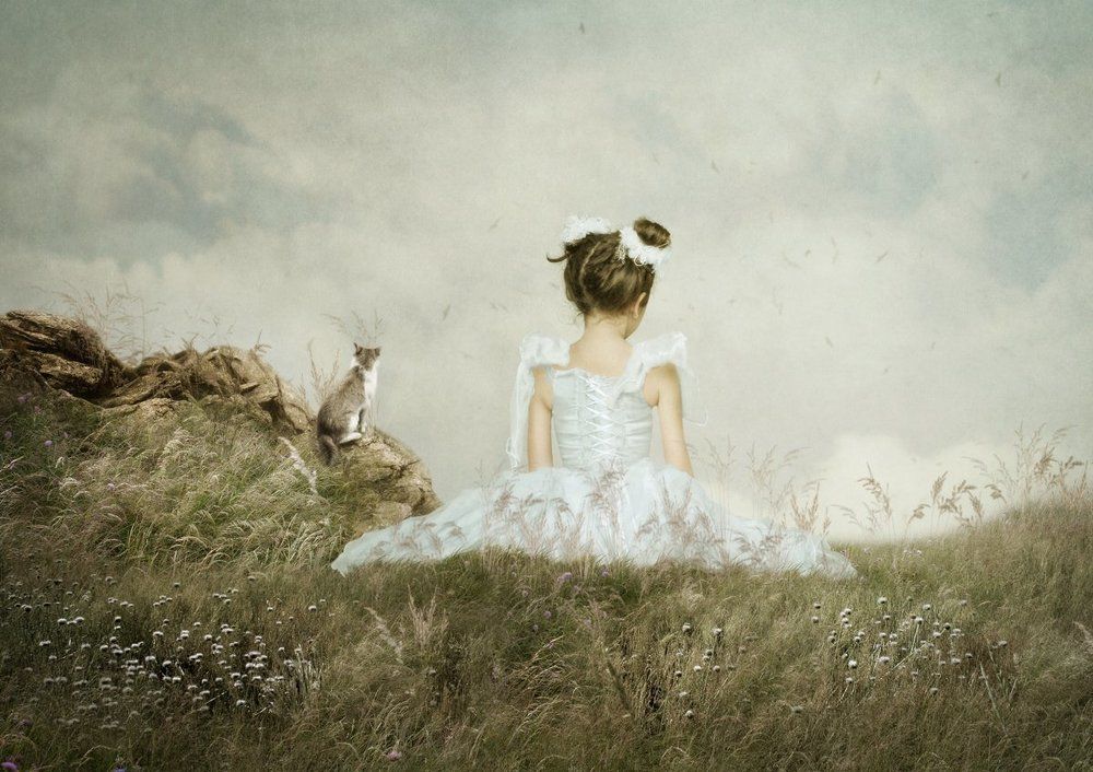 Над пропастью во ржи...