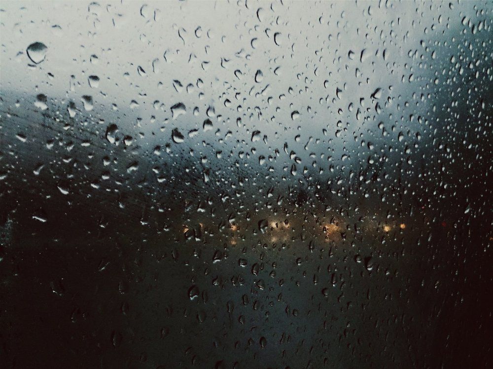 Предновогодняя осень