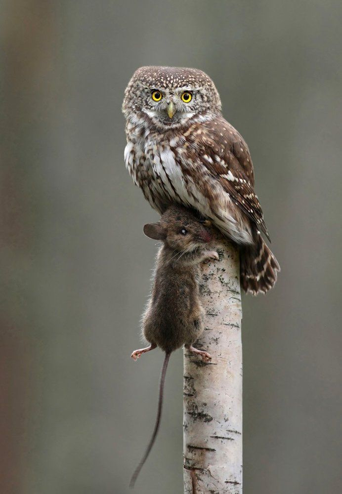 ...мне больно(