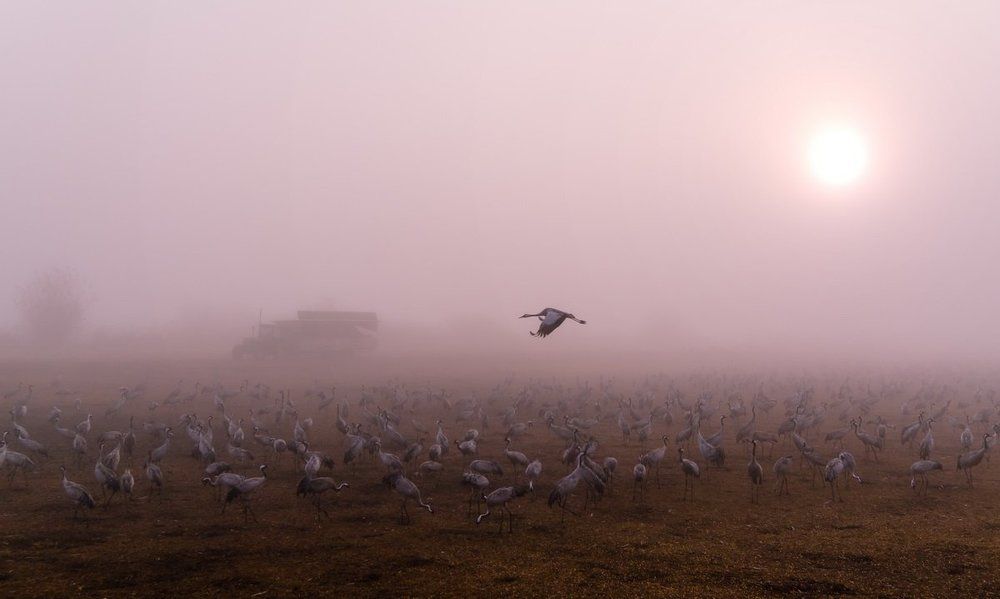 Фотография автора Григорий Крамаренко