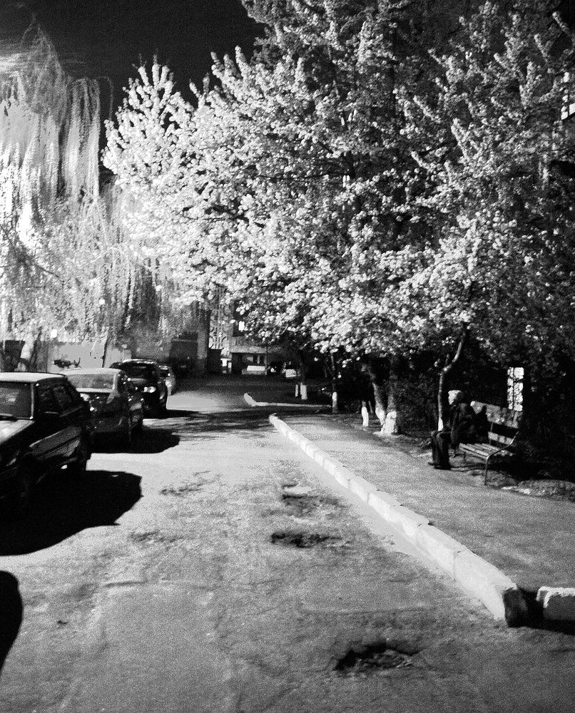 Дворик весной