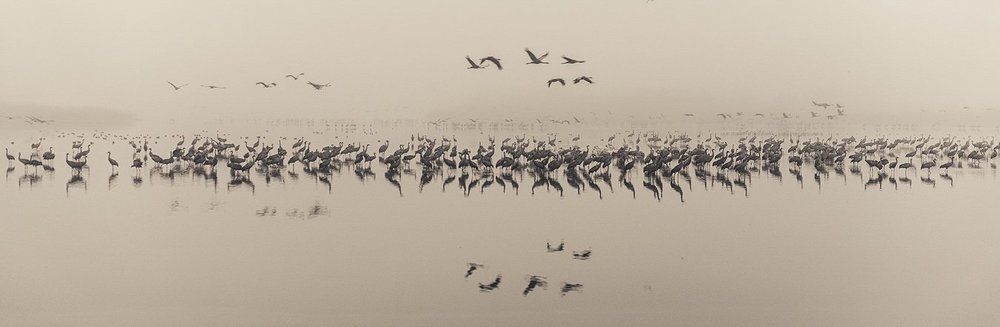 Где-то там ... за туманами ...