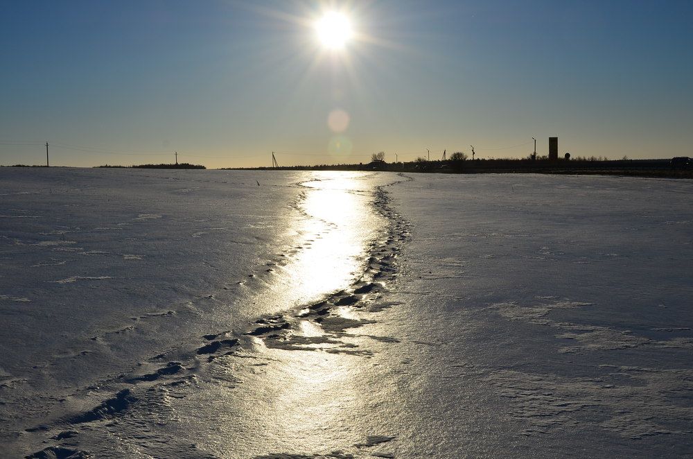 Февраль - кривые дорожки.