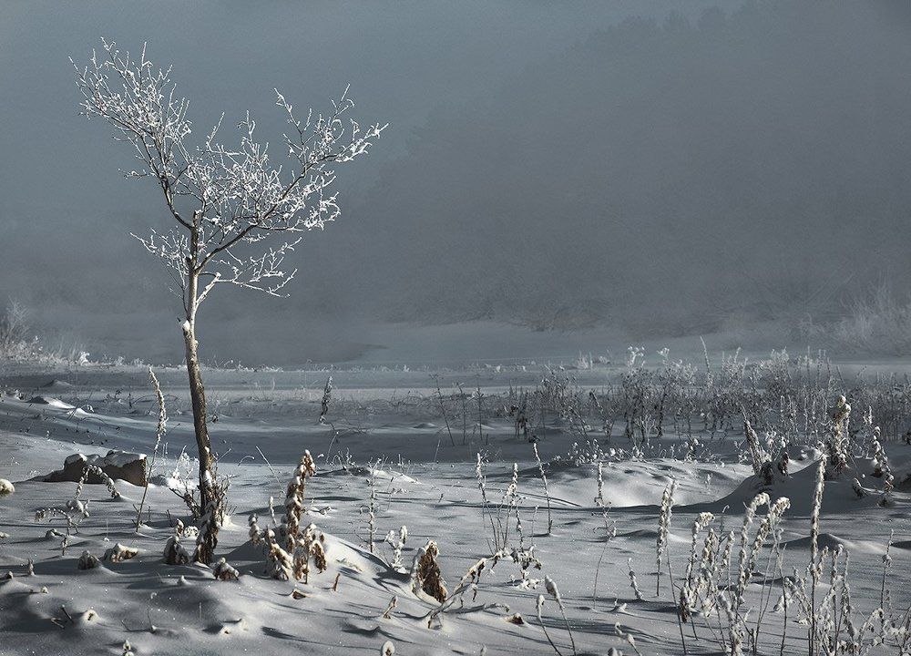 50 оттенков серого