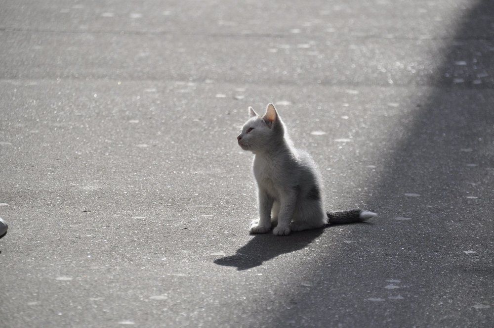 Photograph by Никита