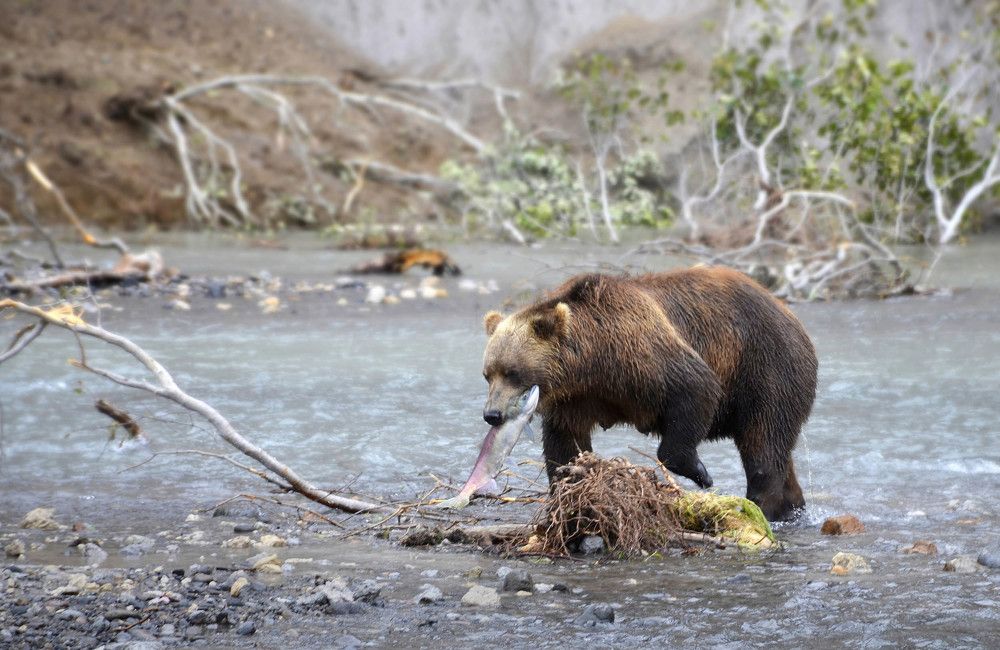 Удачная рыбалка