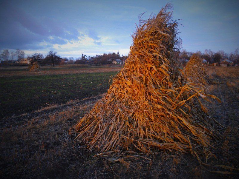 Владимир Подкуйко, Ukraine