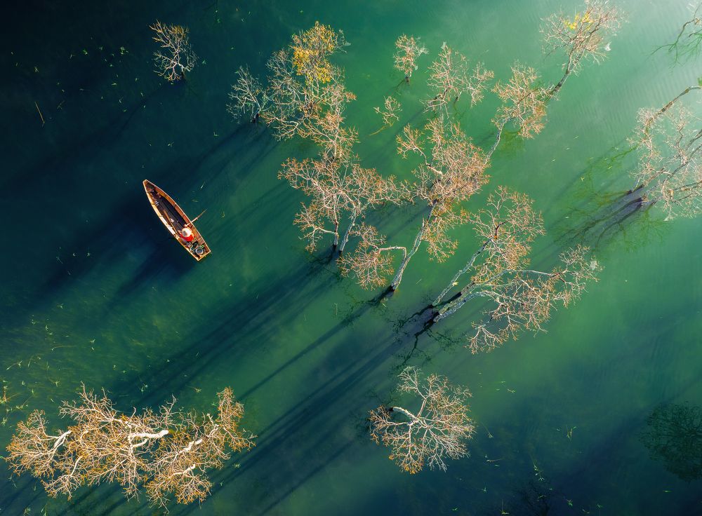 Photograph by Dinh Phong