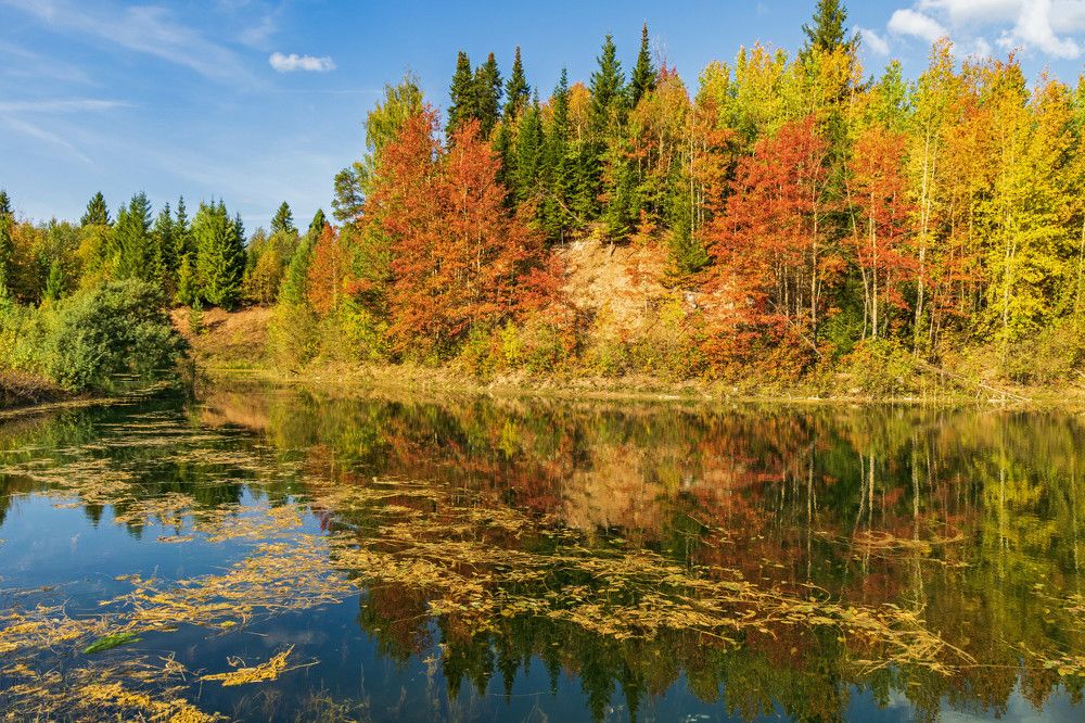 Осень золотая