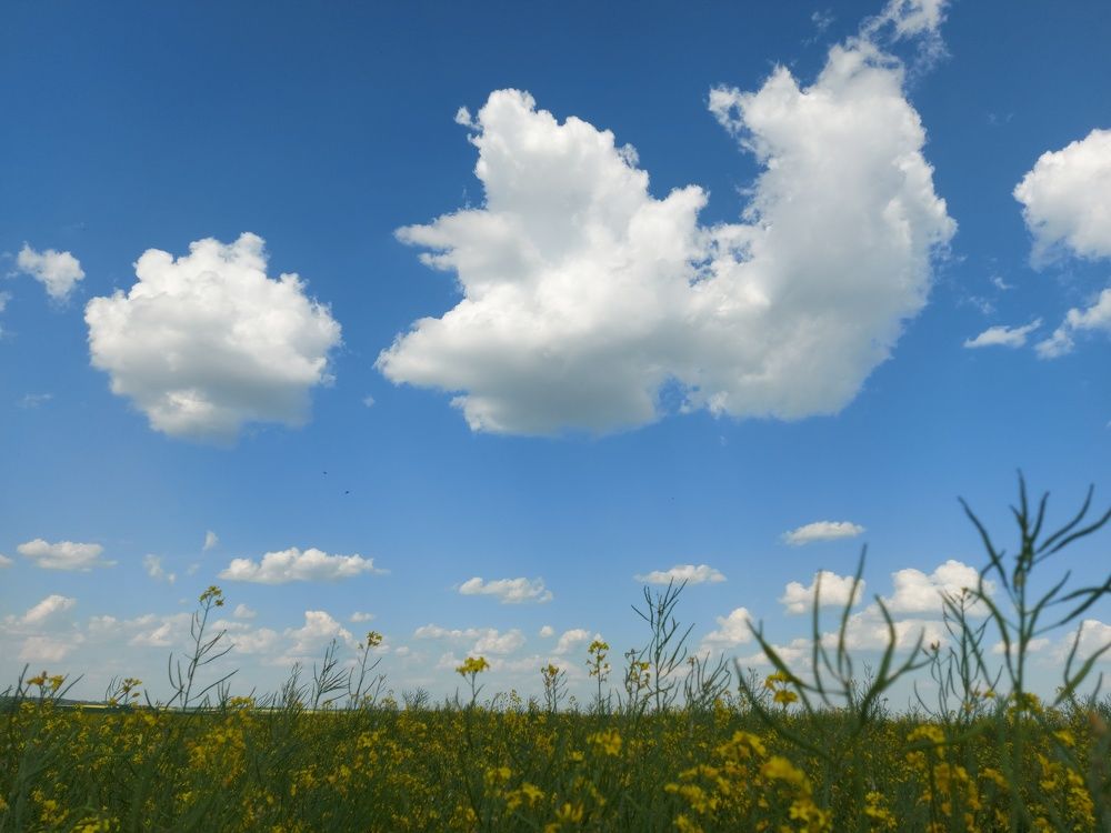 Photograph by ЭЛЬМИРА  ИСМАИЛОВА