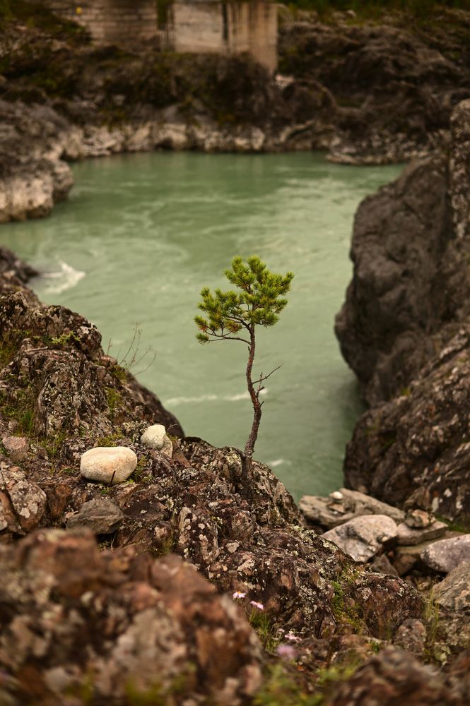 Photograph by Андрей Иова