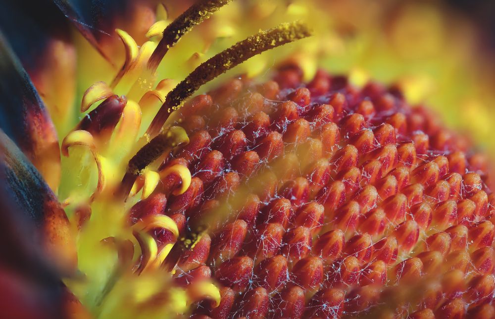 Photograph by Артём Малышев