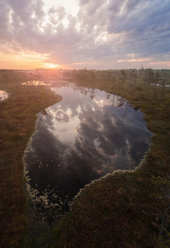 Фотография автора Владимир Коровяковский