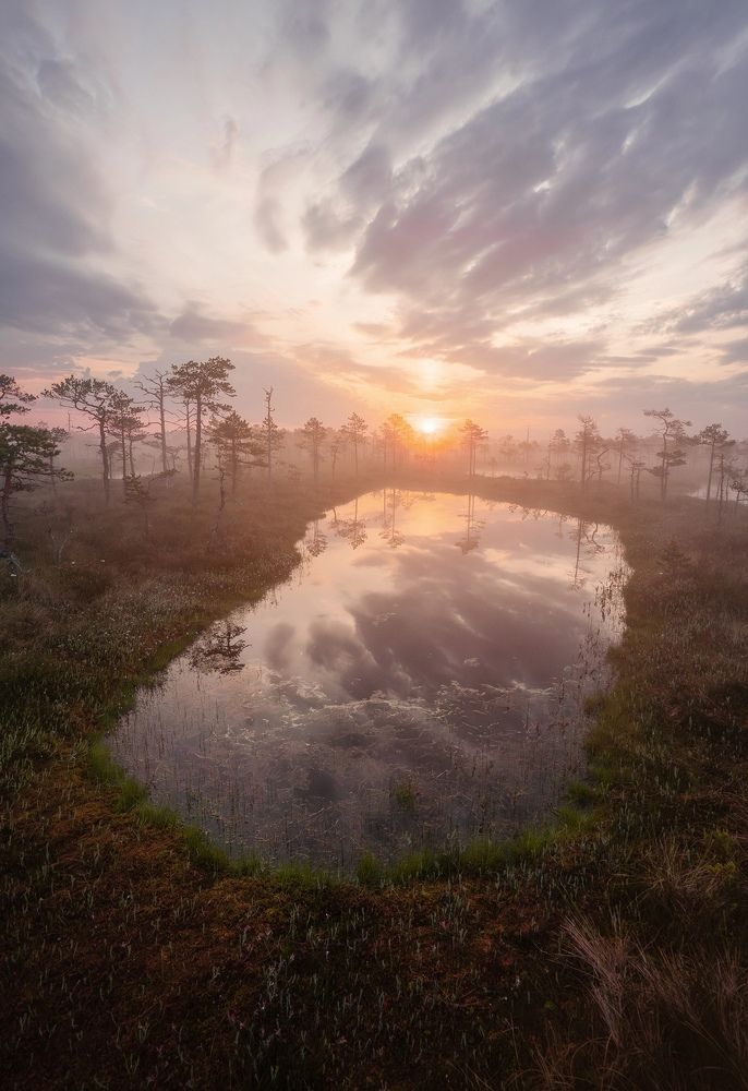 Photograph by Владимир Коровяковский