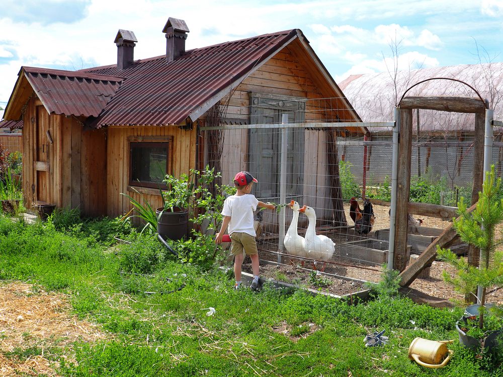 Photograph by Татьяна Елькина