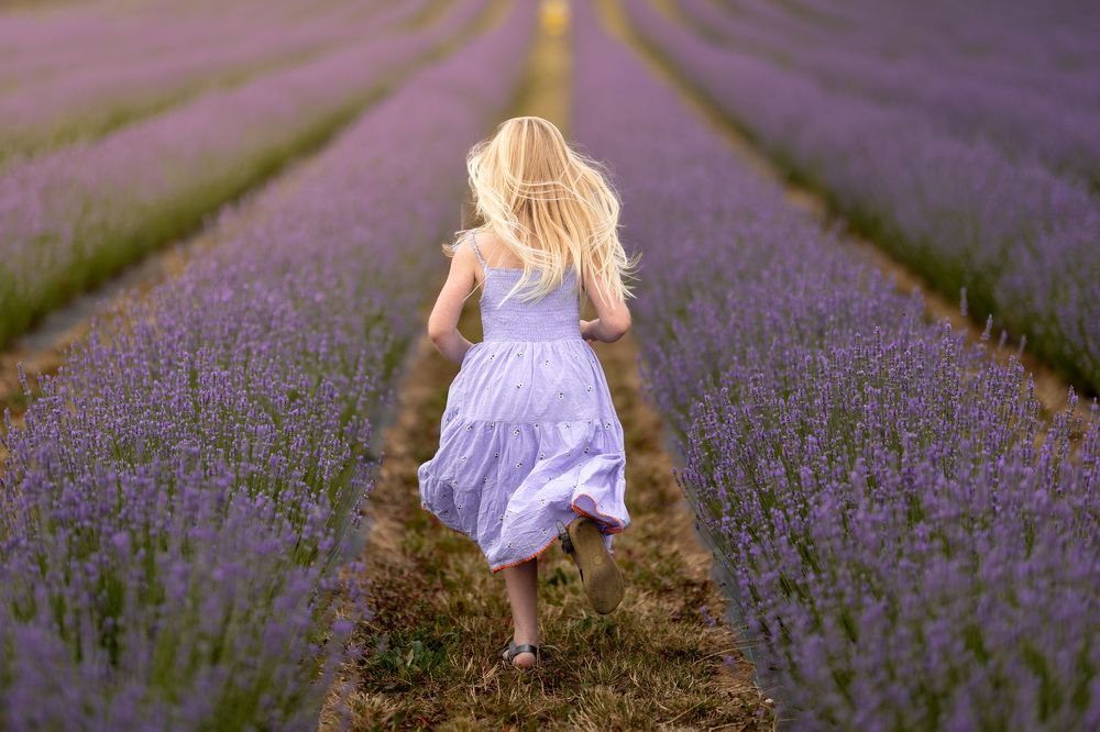 Photograph by Jo Martindale