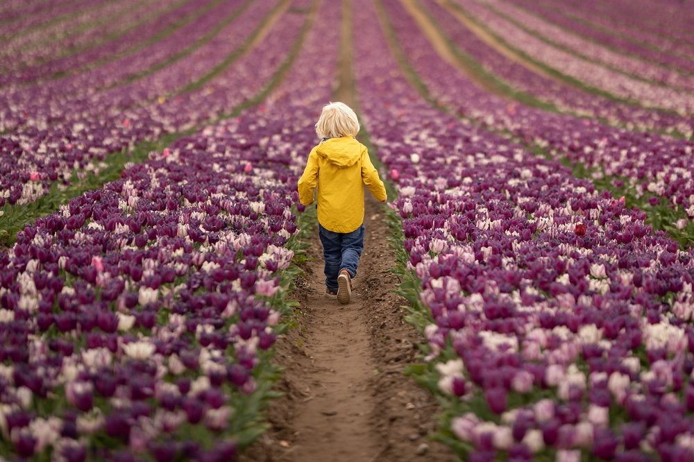 Photograph by Jo Martindale