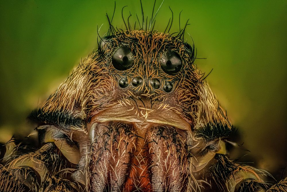 Photograph by Сергей Чупахин