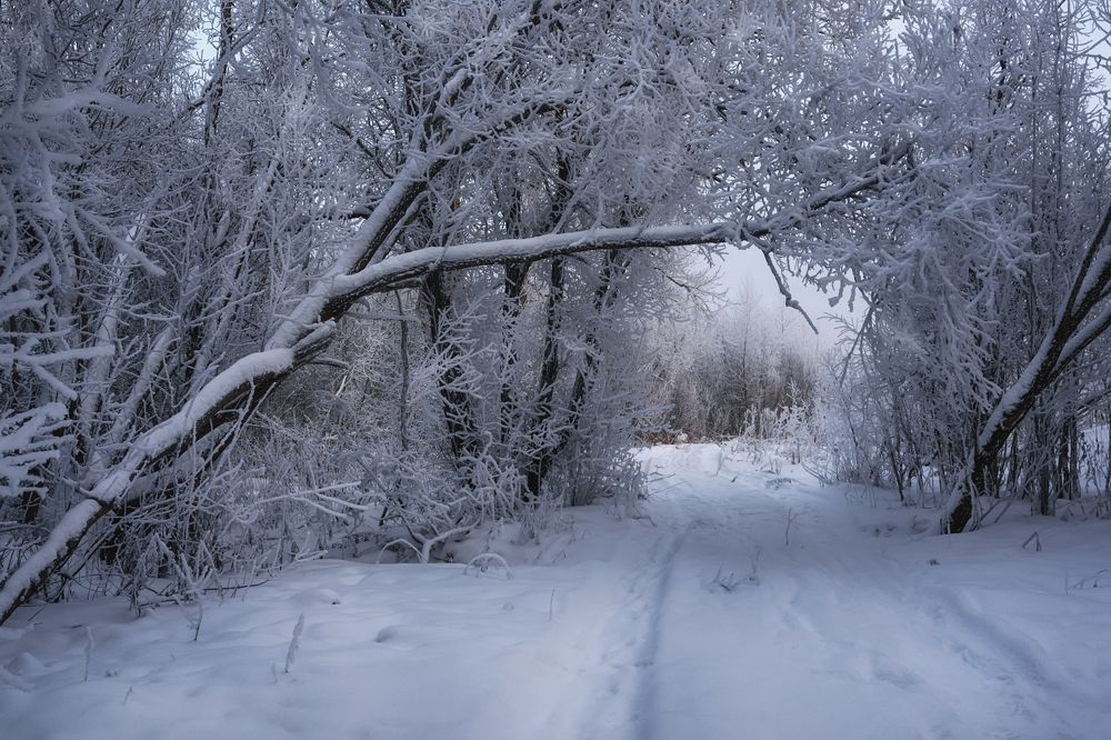 По дороге в зиму