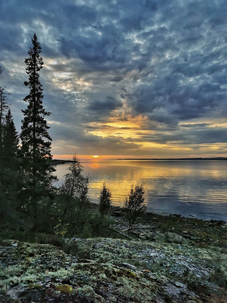 Photograph by Елена Артёменко