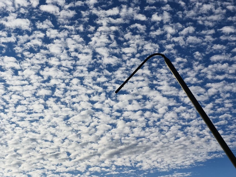 Photo #11050629