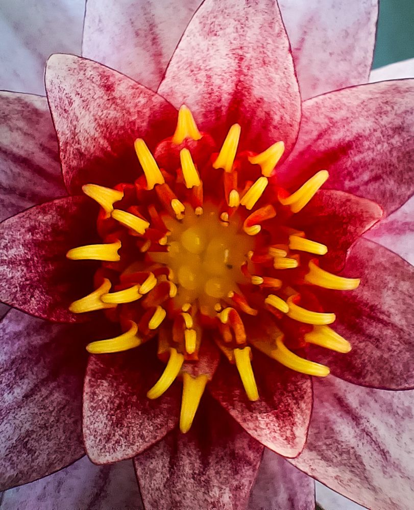 Photograph by Andrey Purtov