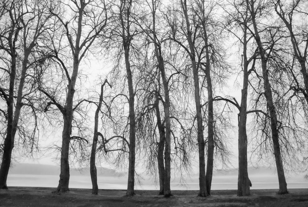 На границе зимы в весны