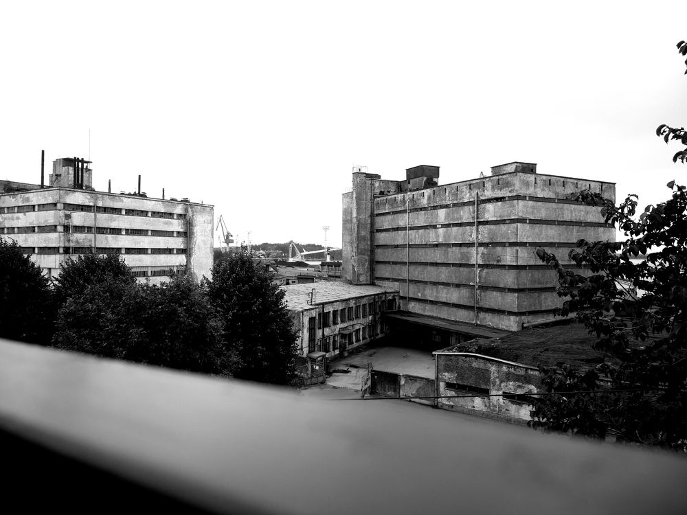 Photo #11050805