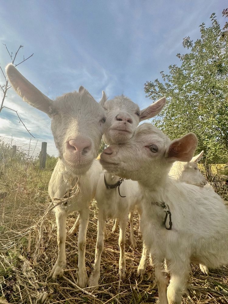 Photograph by Анастасия Конина