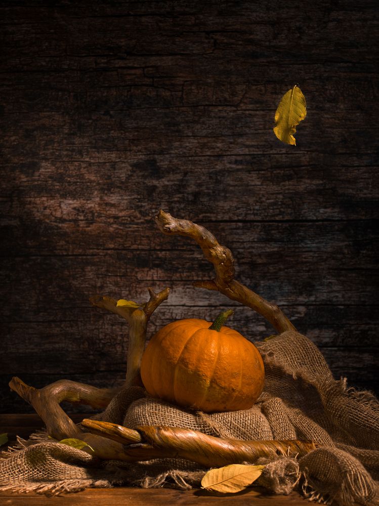 Photograph by Николай Дибров