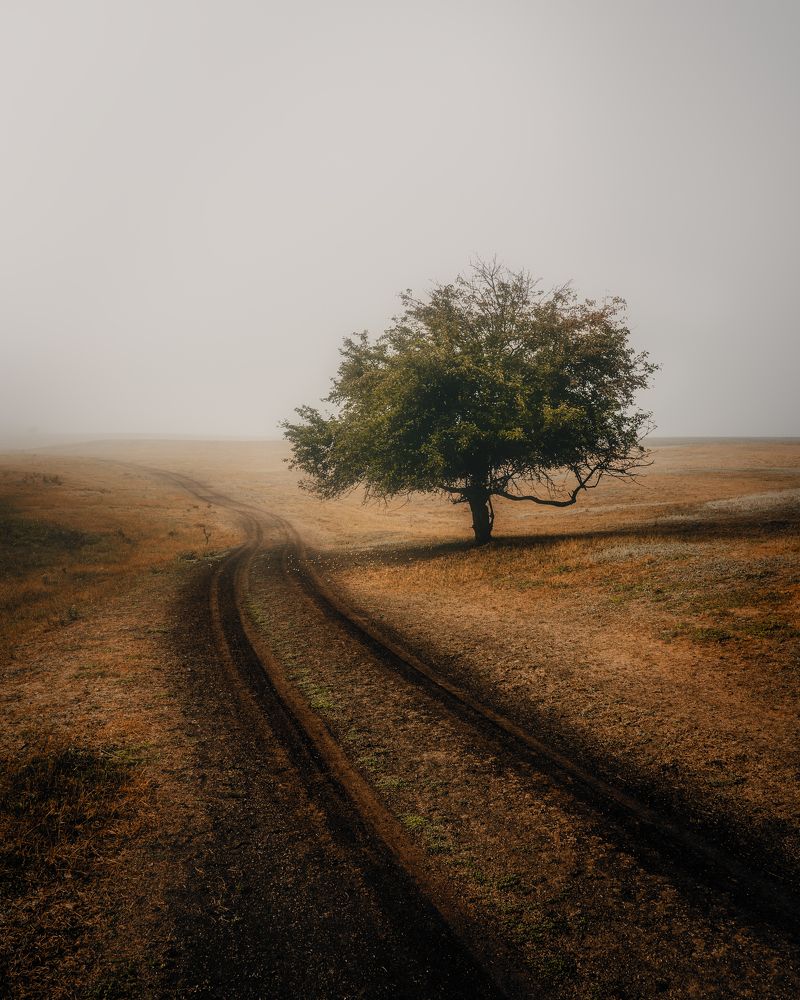 Photograph by Oleg Suhenko