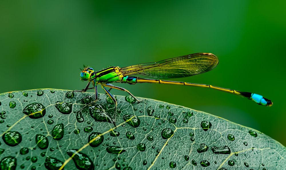 Photograph by protyasha fariha