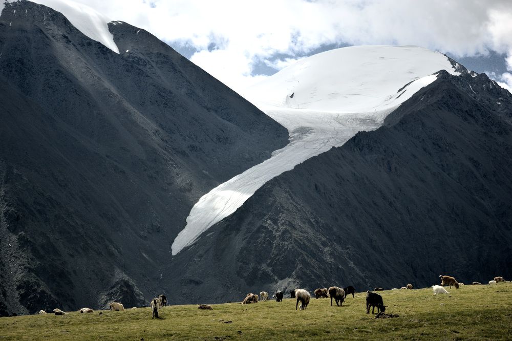 Photograph by Юлия Горбунова