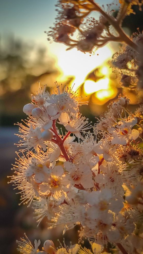 Фотография автора Анастасия Мамаева
