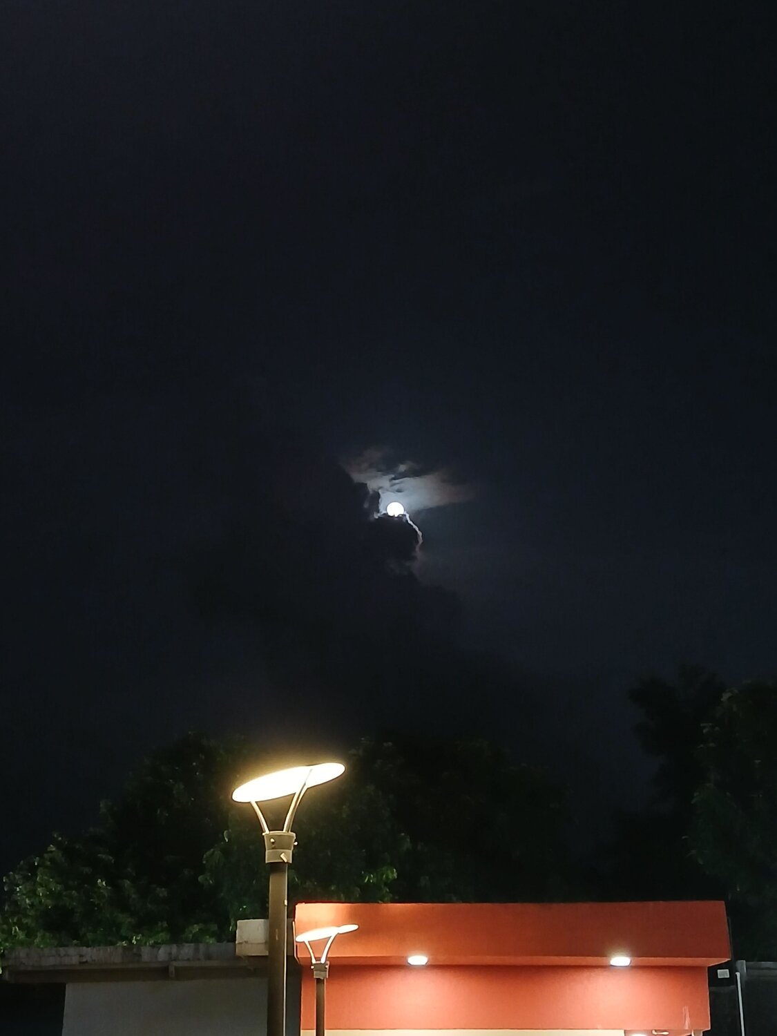 Photo #11051379