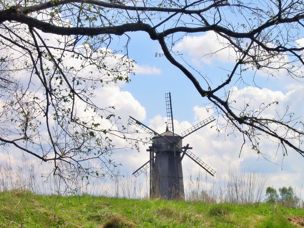 Весеннее настроение