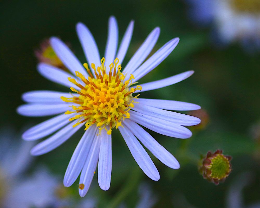 Photograph by Гагик Саркисян