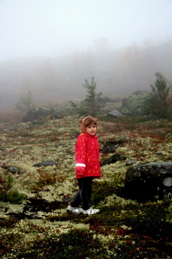 Photograph by Дарья Андрийчук