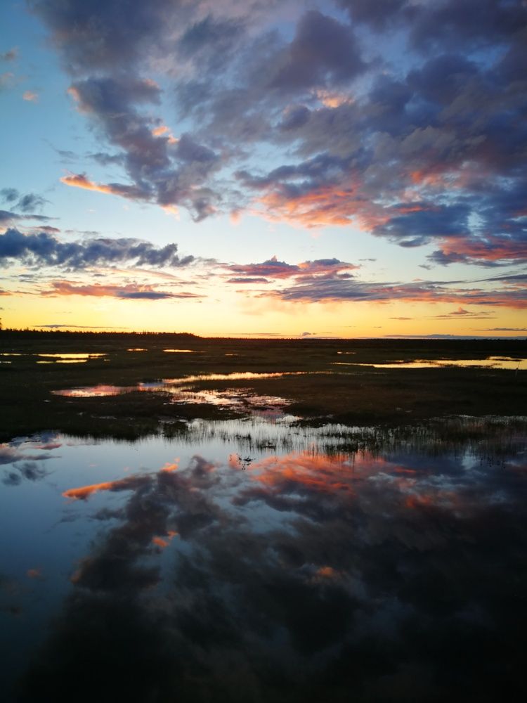 Photo #11051494